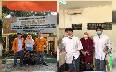 Inovatif! Siswa MAN 1 Kota Sukabumi Teliti Limbah Kulit Udang sebagai Solusi Resistensi Antibiotik